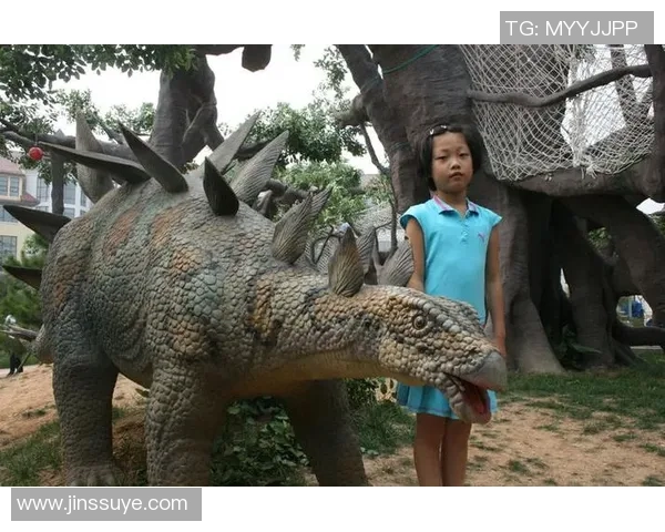 在日记中追逐梦想的足球旅程与成长故事